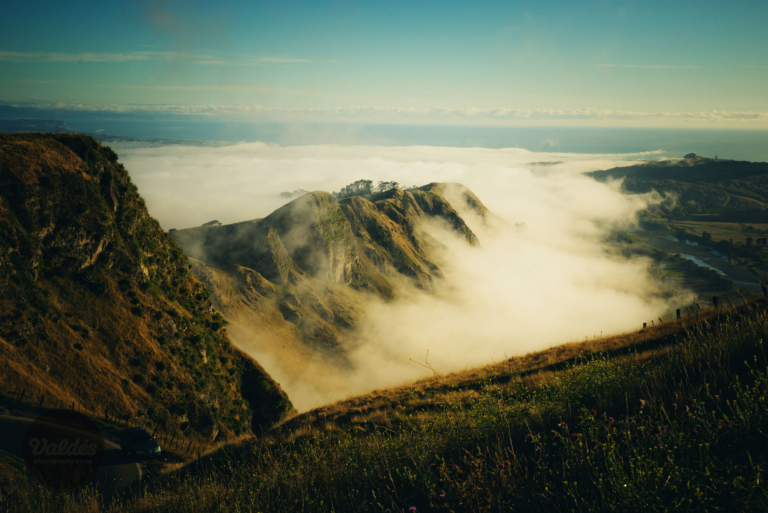 Hawke S Bay Te Mata Park Trust