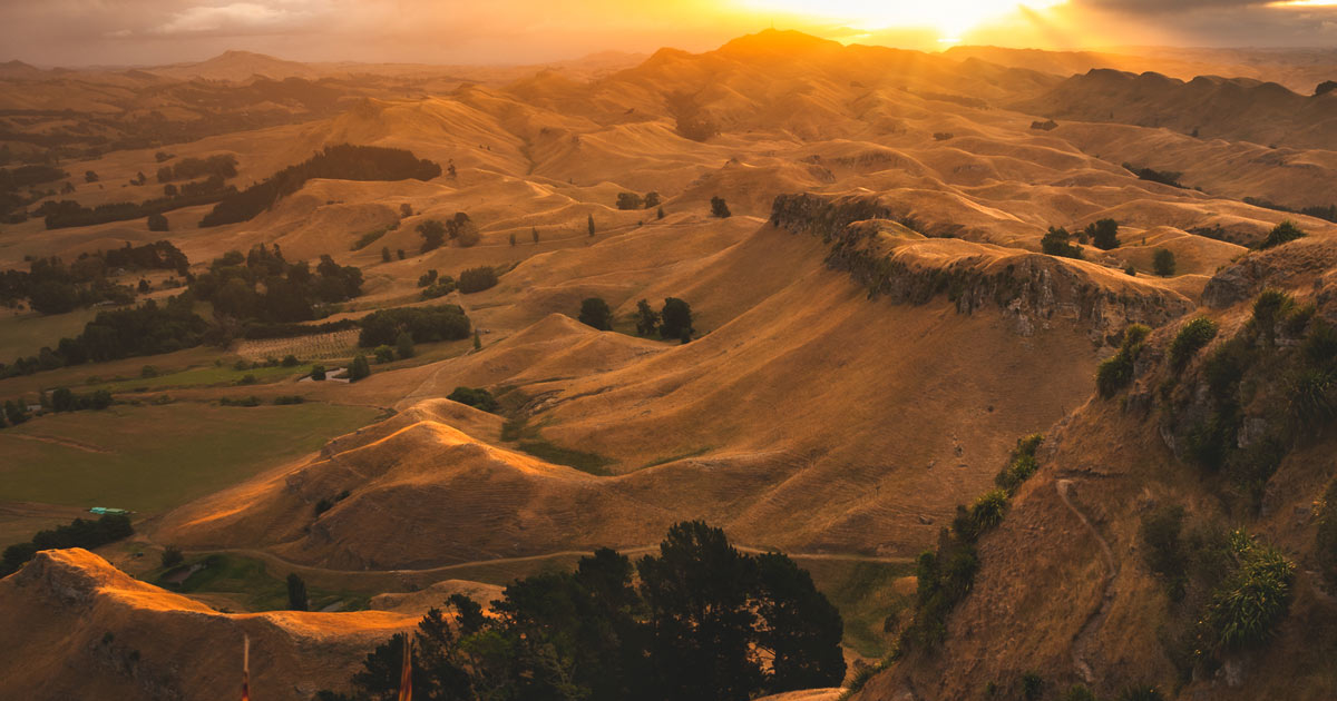 Hawke's Bay – Te Mata Park Trust