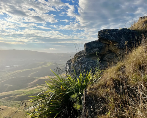 Te-Mata-Peak-Park-Hastings